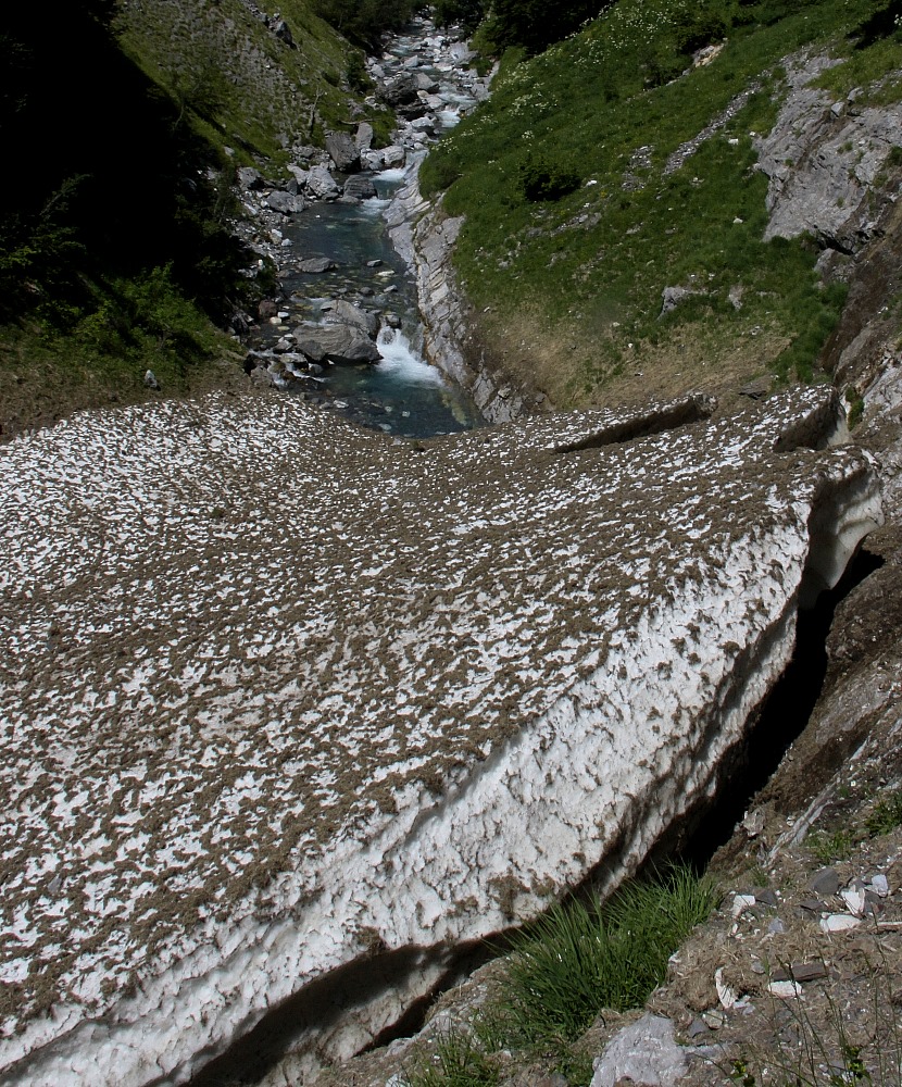 Sommer-Gletscher [02]