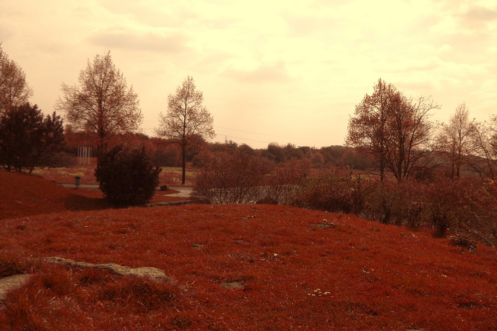 Sommer - Herbst