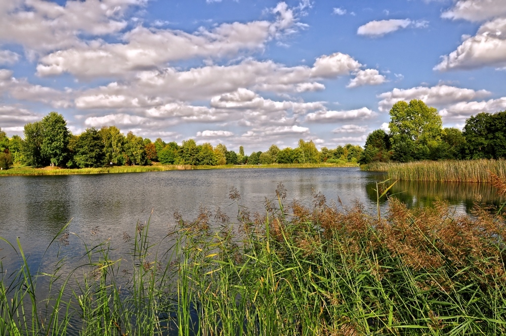 Sommer-Herbst Impressionen im Park....