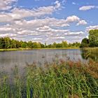 Sommer-Herbst Impressionen im Park....