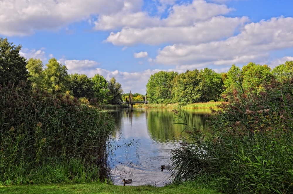 Sommer-Herbst Impressionen im Park....