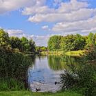 Sommer-Herbst Impressionen im Park....