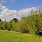 Sommer-Herbst Impressionen im Park.....