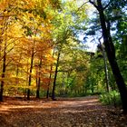 Sommer-Herbst-Übergang