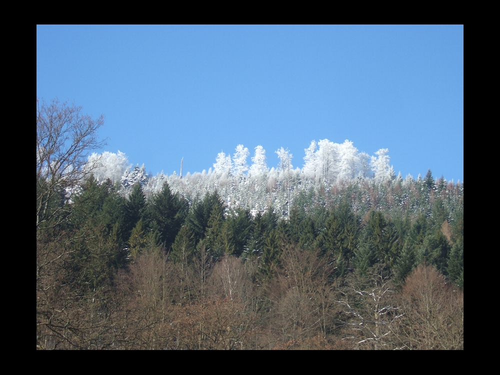 Sommer, Herbst und Winter - auf einmal