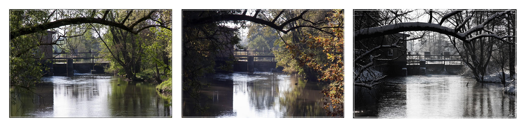 Sommer, Herbst, Winter