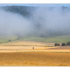 Sommer heute... (mit Diskussion zur Komposition)