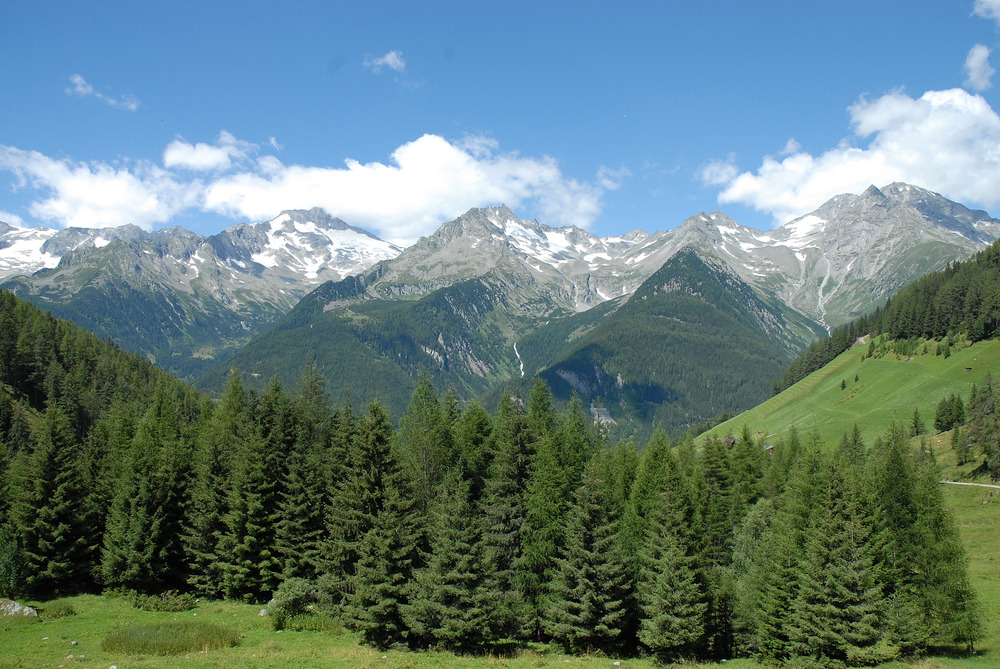 Sommer im Ahrntal