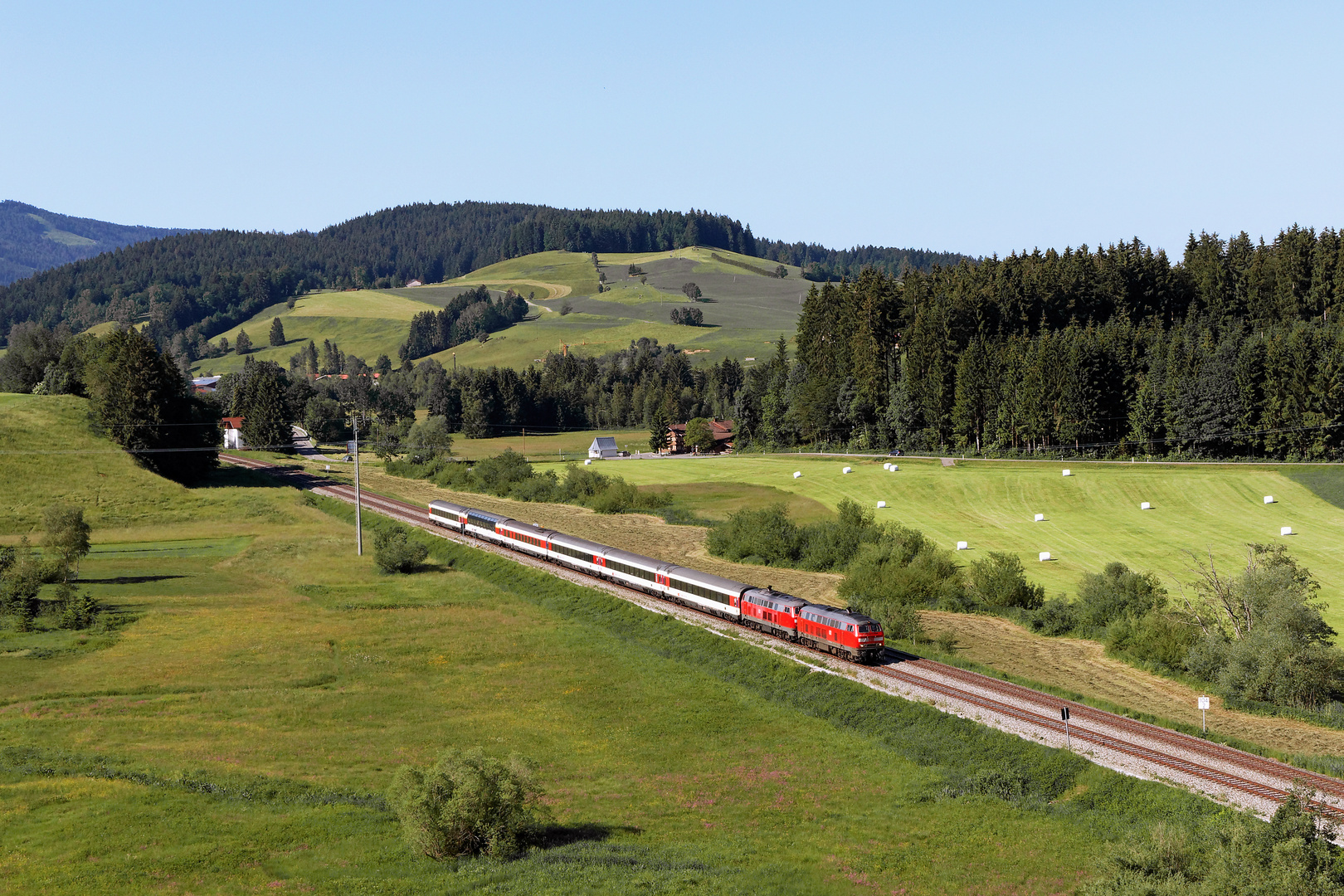 Sommer im Allgäu (1)