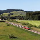 Sommer im Allgäu (1)