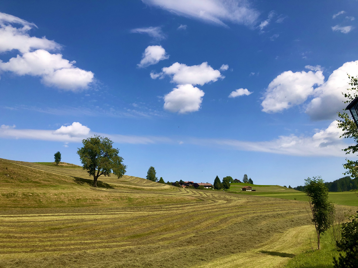 Sommer im Allgäu