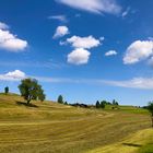 Sommer im Allgäu