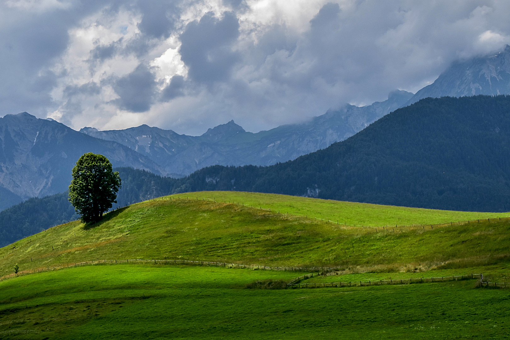 Sommer im Allgäu