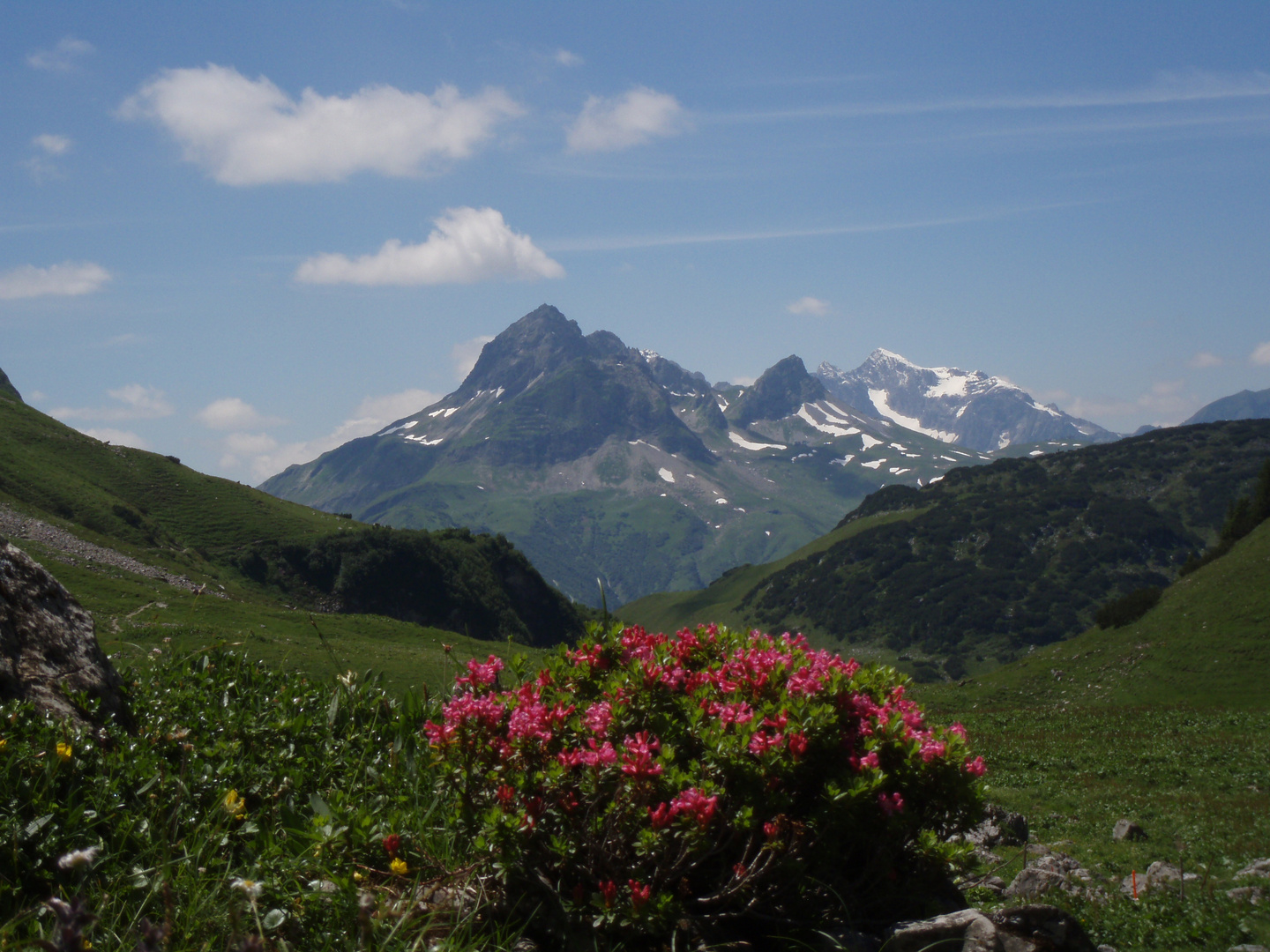 Sommer im Allgäu