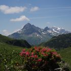 Sommer im Allgäu