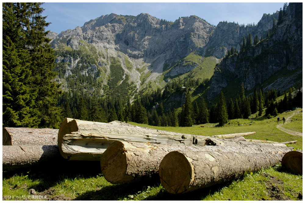 Sommer im Allgäu