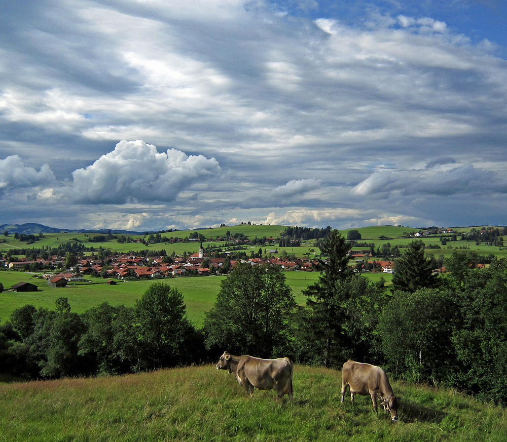 Sommer im Allgäu!