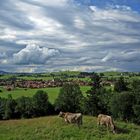 Sommer im Allgäu!