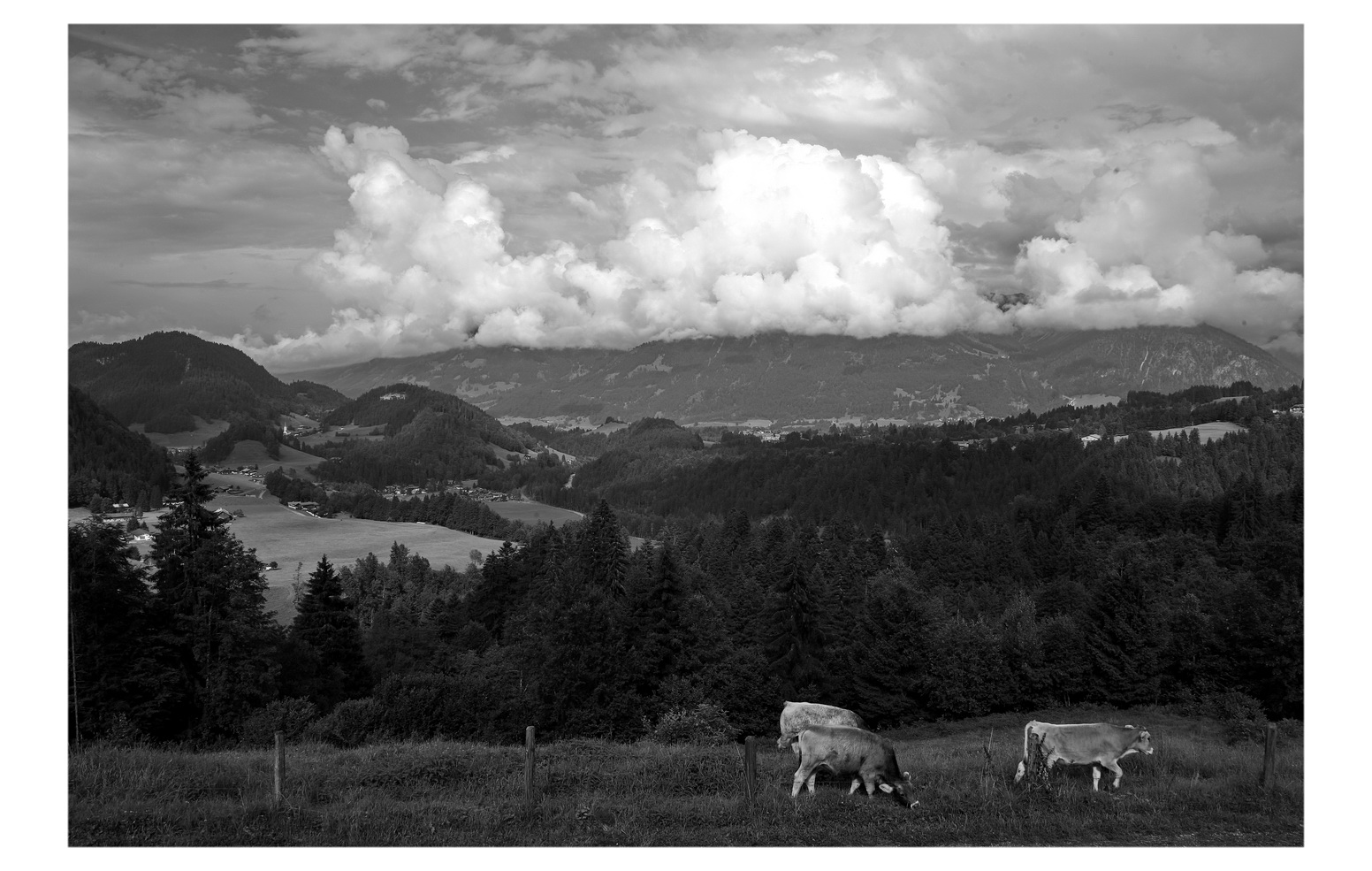 Sommer im Allgäu