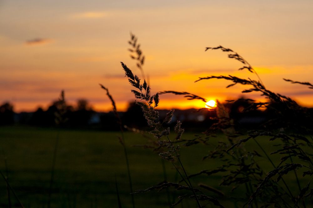 Sommer im Ampertal