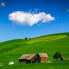 Sommer Im Appenzeller Land