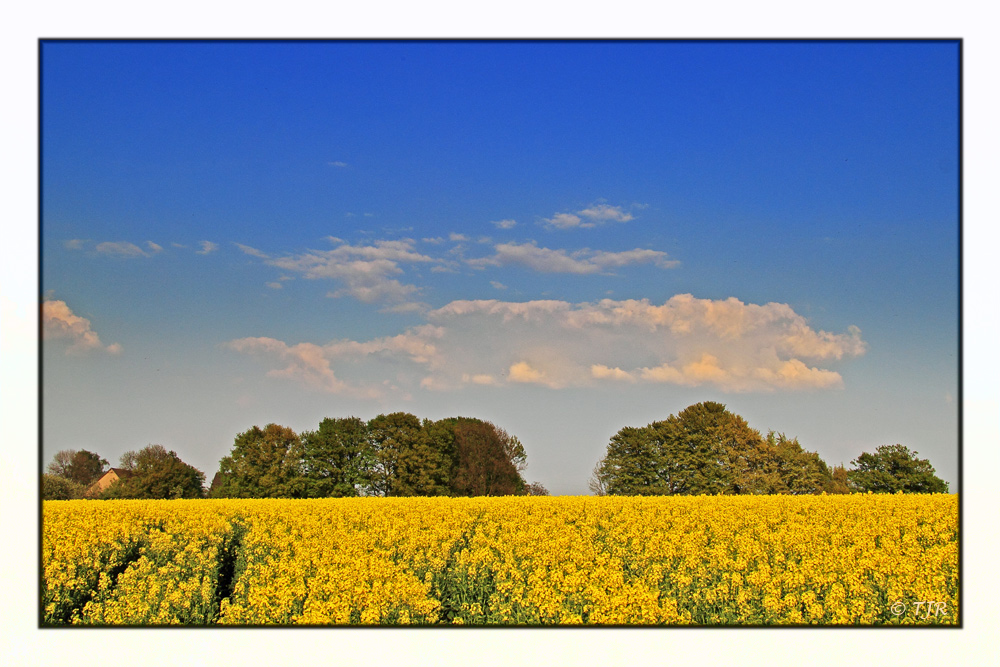 Sommer im April 2011