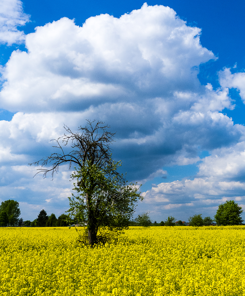 Sommer im Bachgau