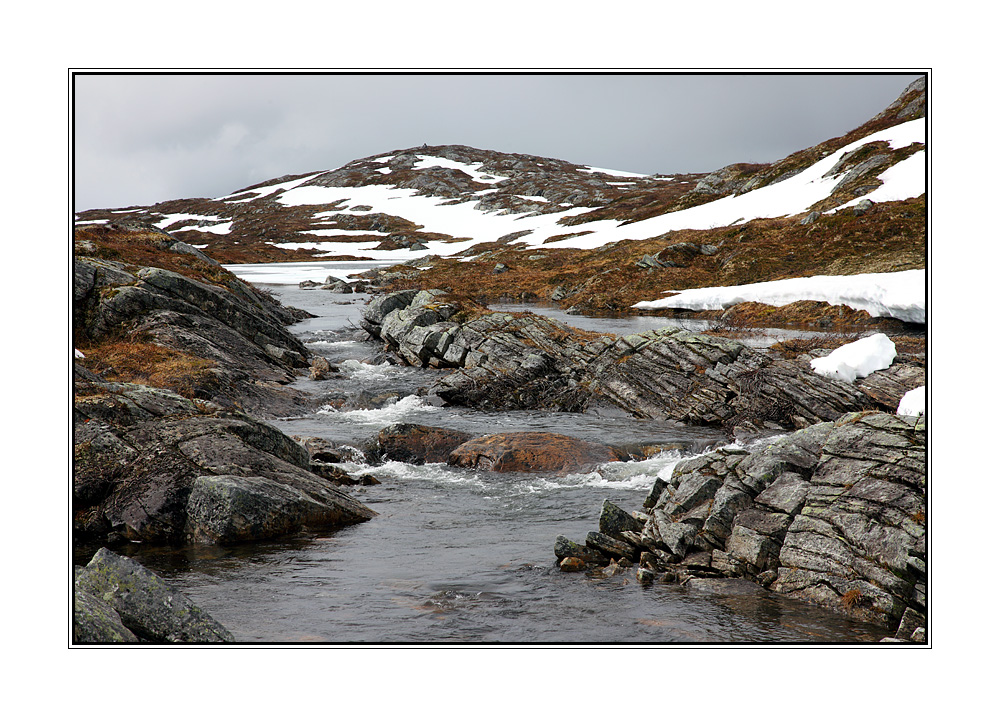 Sommer im Beiarfjellet