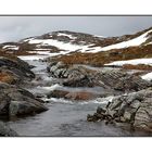 Sommer im Beiarfjellet