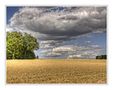 Sommer im Bergischen Land by Wolfgang B. Scheifers