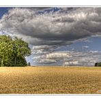 Sommer im Bergischen Land