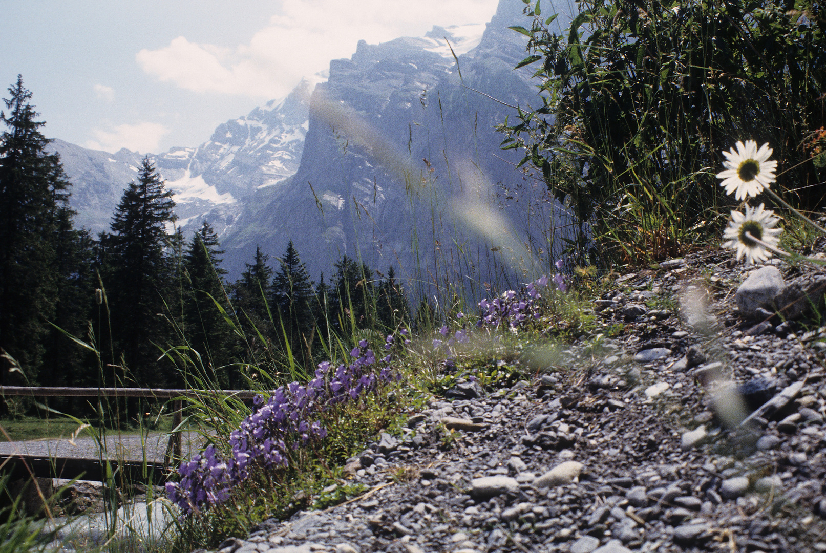 Sommer im Berner Oberland