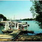 Sommer im Bootshafen/Schierstein