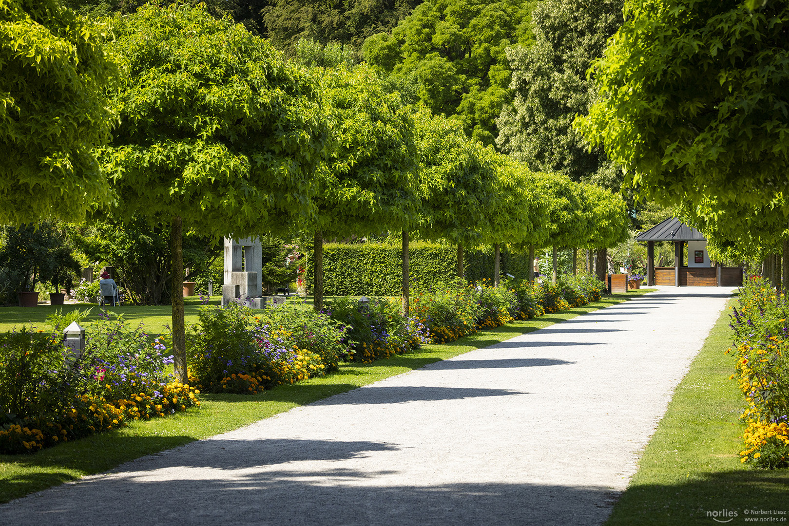 Sommer im Bot. Garten