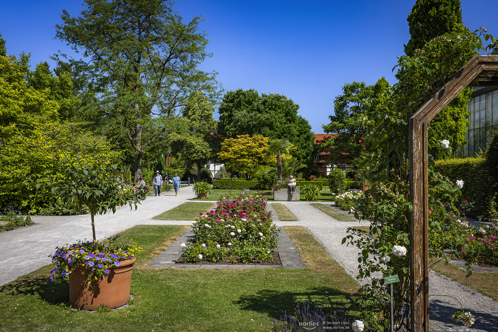 Sommer im Botanischen Garten