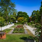 Sommer im Botanischen Garten