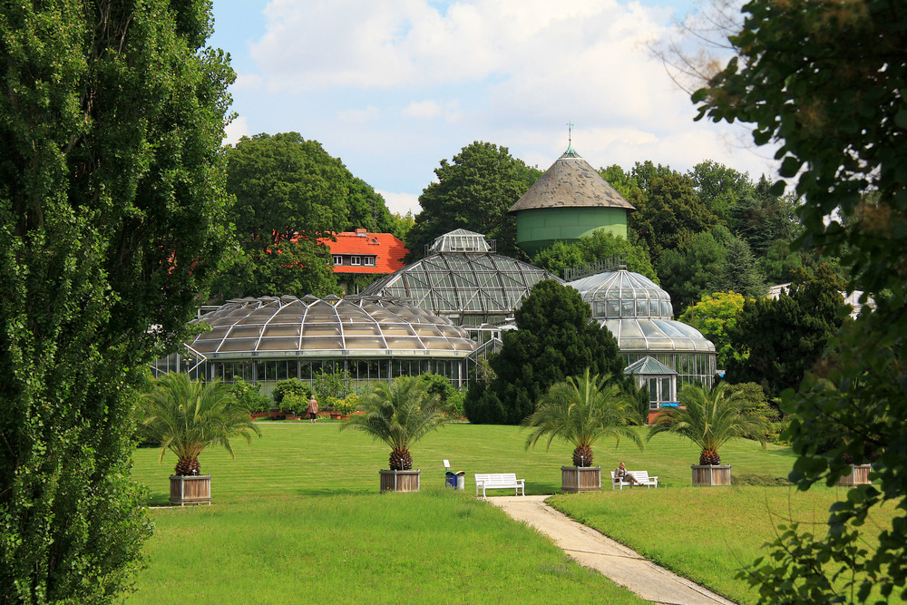 Sommer im Botanischen Garten