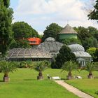 Sommer im Botanischen Garten