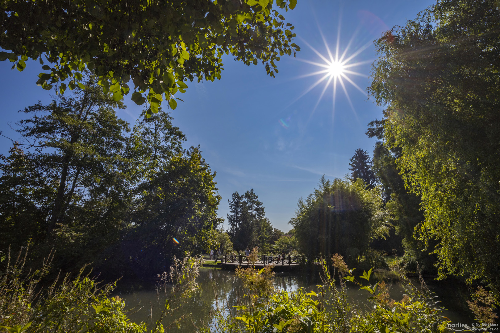 Sommer im Botanischen Garten