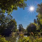 Sommer im Botanischen Garten