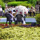 Sommer im Botanischen Garten Solingen