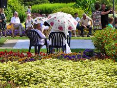 Sommer im Botanischen Garten Solingen