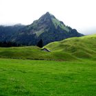 Sommer im Bregenzer Wald: Schönenbacher Rundweg