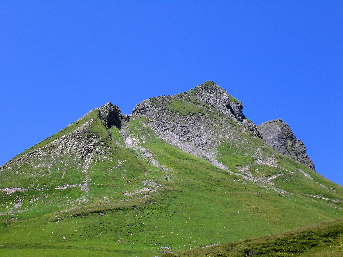 Sommer im Bregenzerwald - Auf dem Weg zu Damülser Mittagspitze