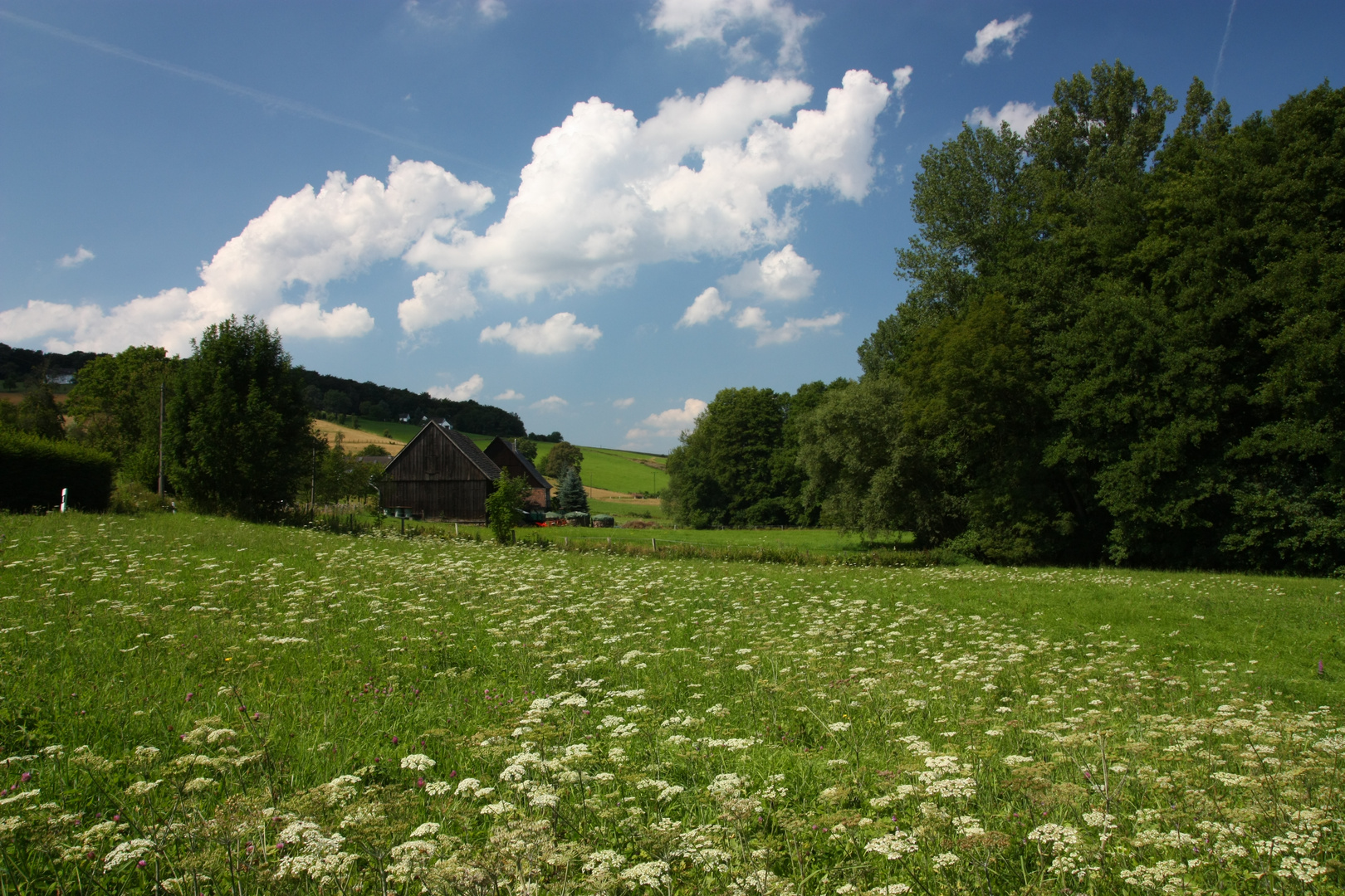 Sommer im Deilbachtal bei Velbert