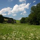 Sommer im Deilbachtal bei Velbert