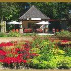 Sommer im Domgarten Speyer