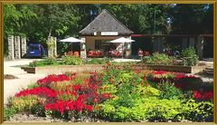 Sommer im Domgarten Speyer