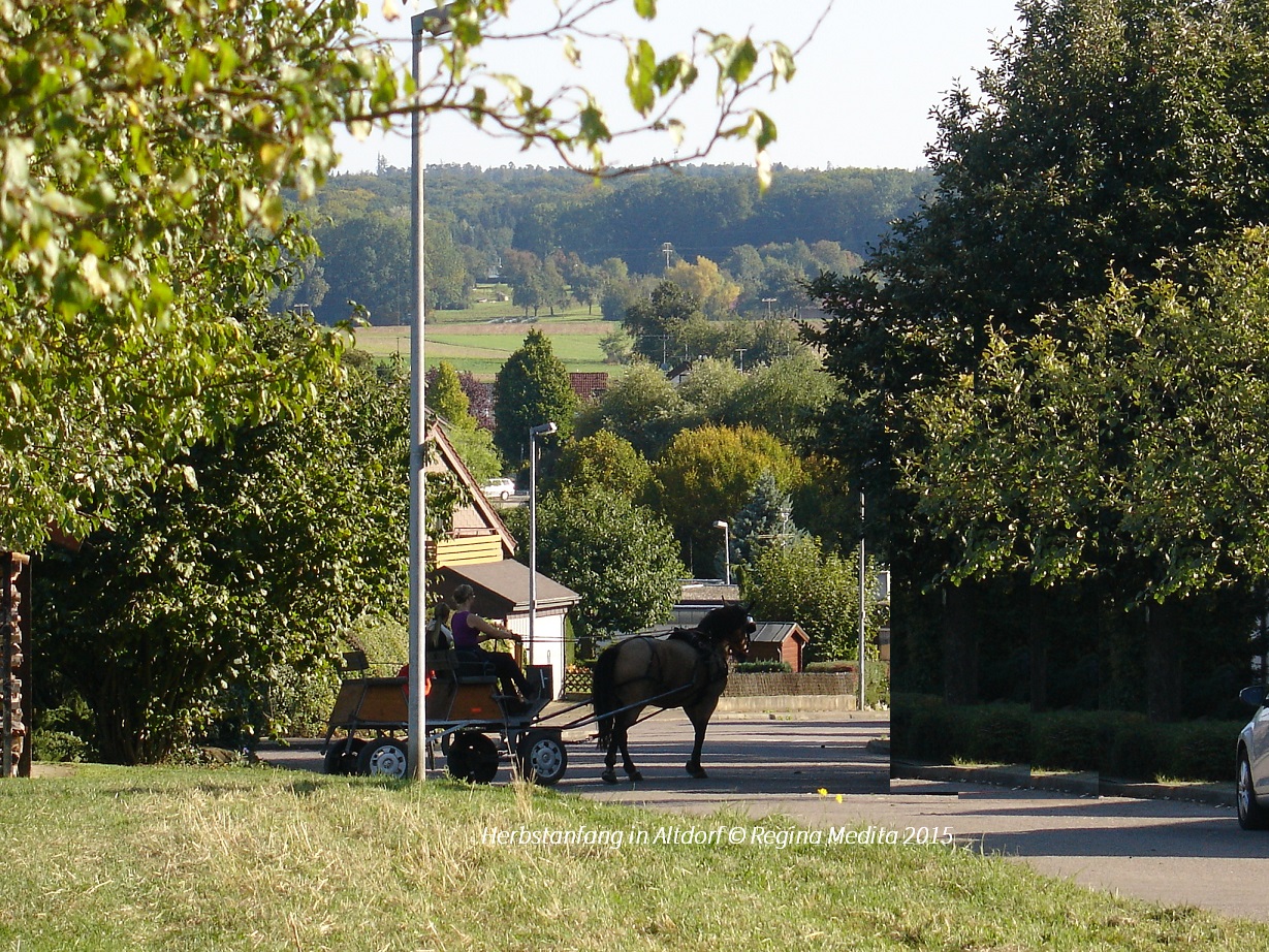 Sommer im Dorf