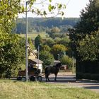 Sommer im Dorf